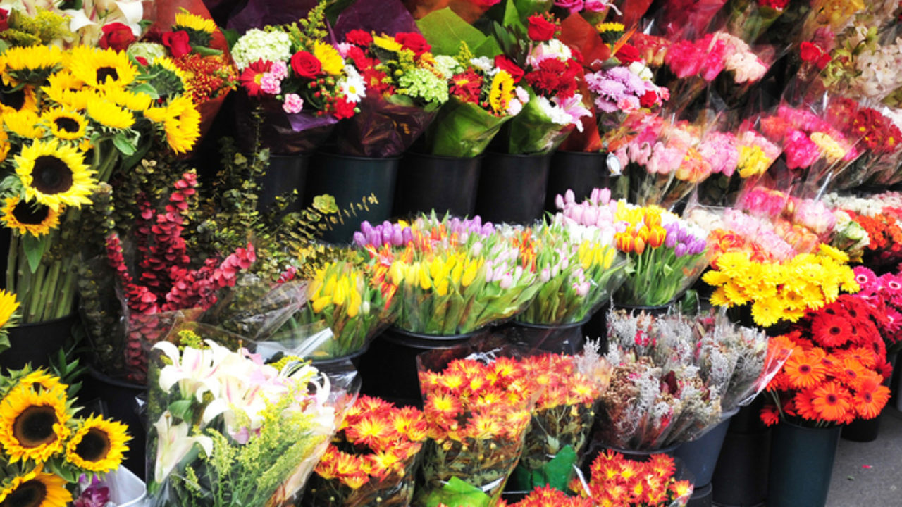 wholesale flowers