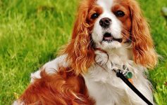 Beauty Harmony Life - A place for inspirations in your life.