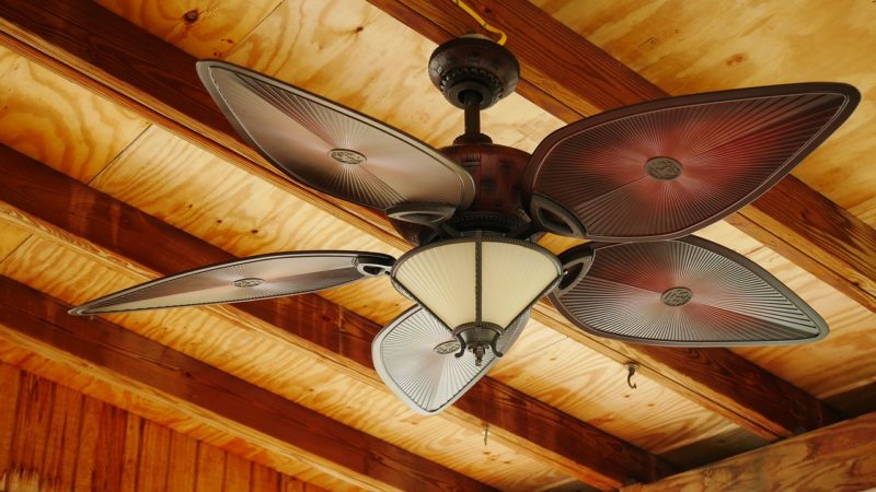 Looking For A Tropical Inspired Ceiling Fan Check This Out