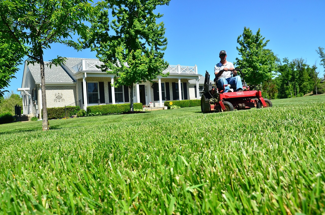 Do S And Don Ts How To Maintain Your Lawn Beautyharmonylife Do S And Don Ts How To Maintain Your Lawn Beautyharmonylife