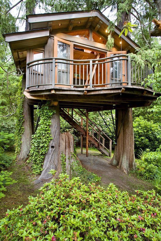 10 Design Ideas for Woody  Houses
