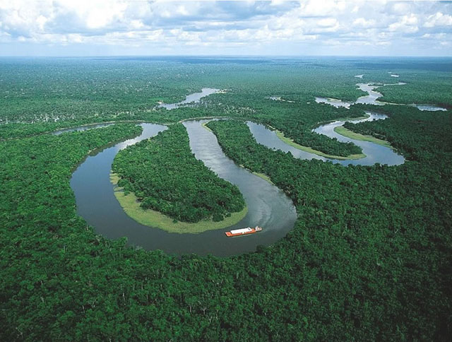 31 Mind Blowing Photographs of Amazon Forest