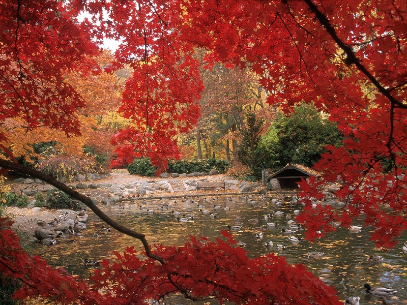 16 Beautiful Photos of Incredible Fall