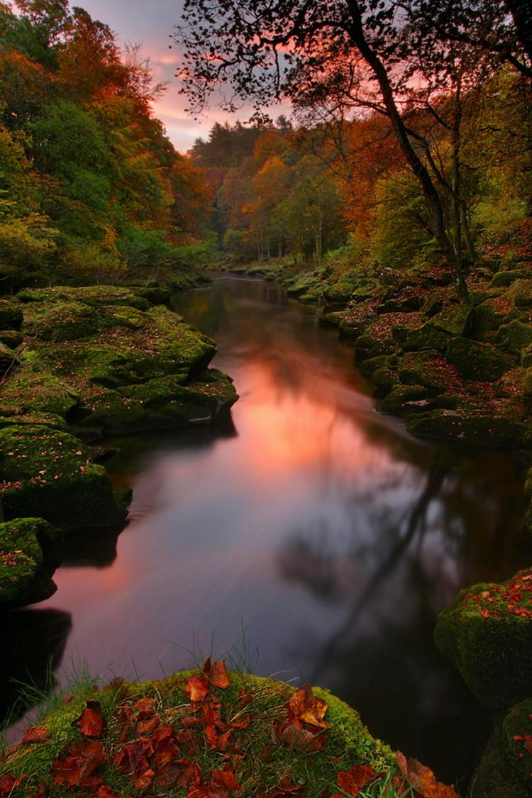 16 Beautiful Photos of Incredible Fall