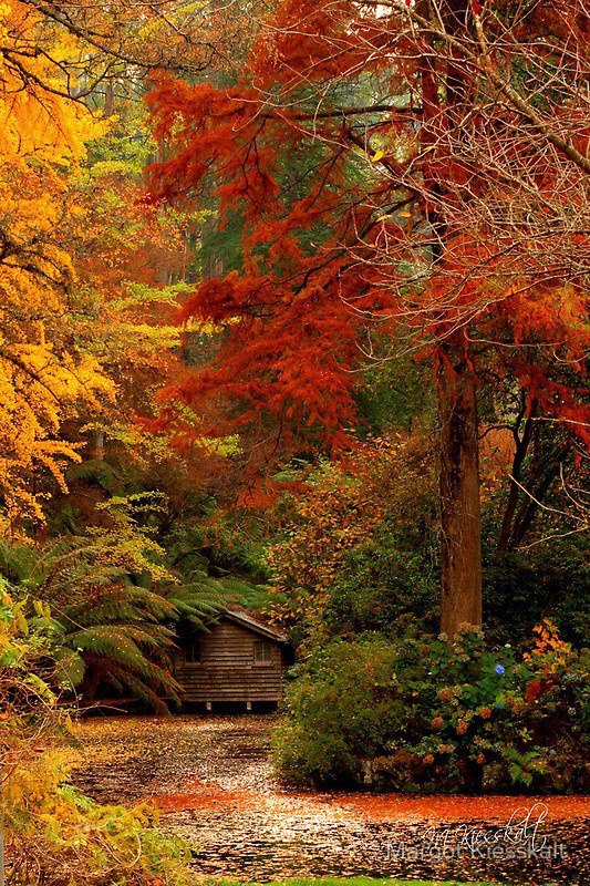 16 Beautiful Photos of Incredible Fall