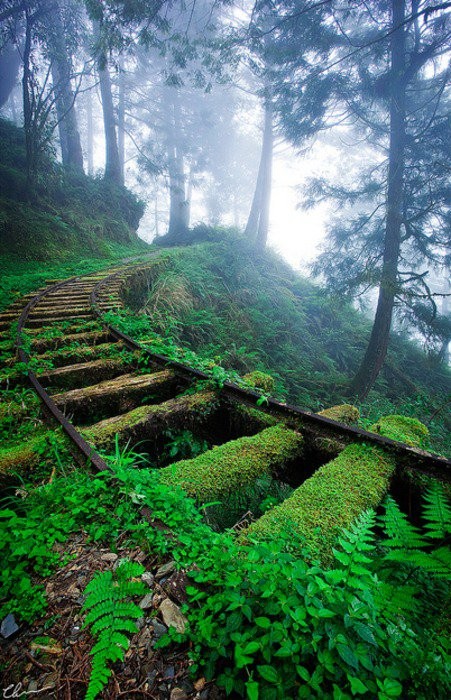 abandoned castle on island