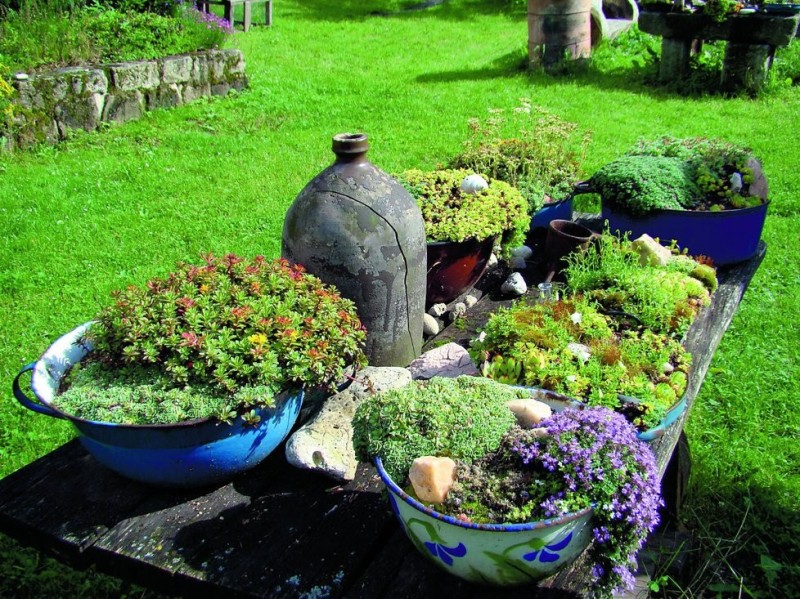 21 DIY Ways To Edit Your Gardens