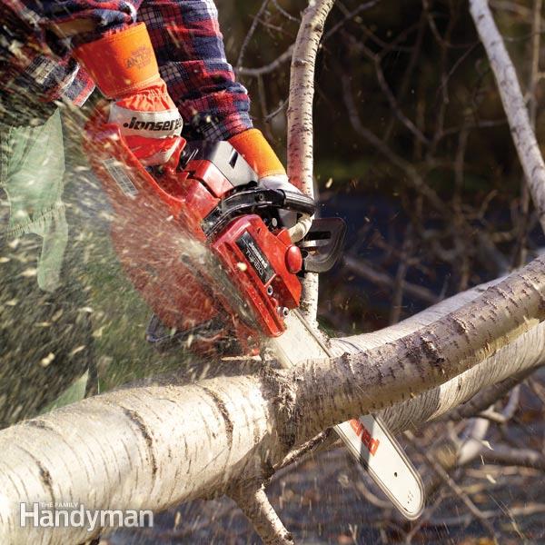 Tree Cutting Accidents: How to Avoid Them?