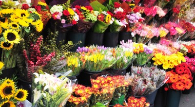 Wholesale flowers – best and the cost effective way to surprise your loved ones