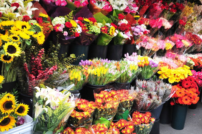 Fresh flowers wholesale on sale to the public