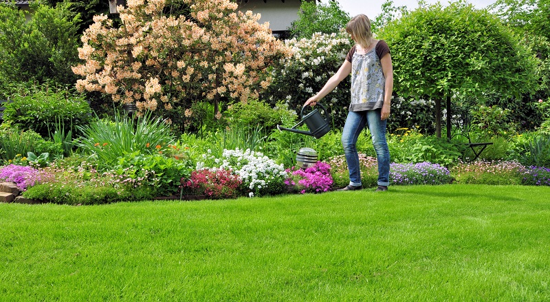 Checklist for Efficient Maintenance of Gardens