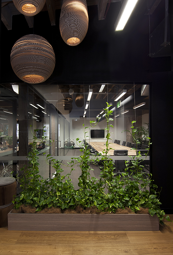Why Rent Plants For The Office When You Can Buy?