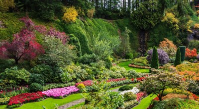 Garden Designers Transform Your Unused Space into a Dream Garden