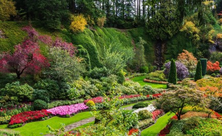 Garden Designers Transform Your Unused Space into a Dream Garden