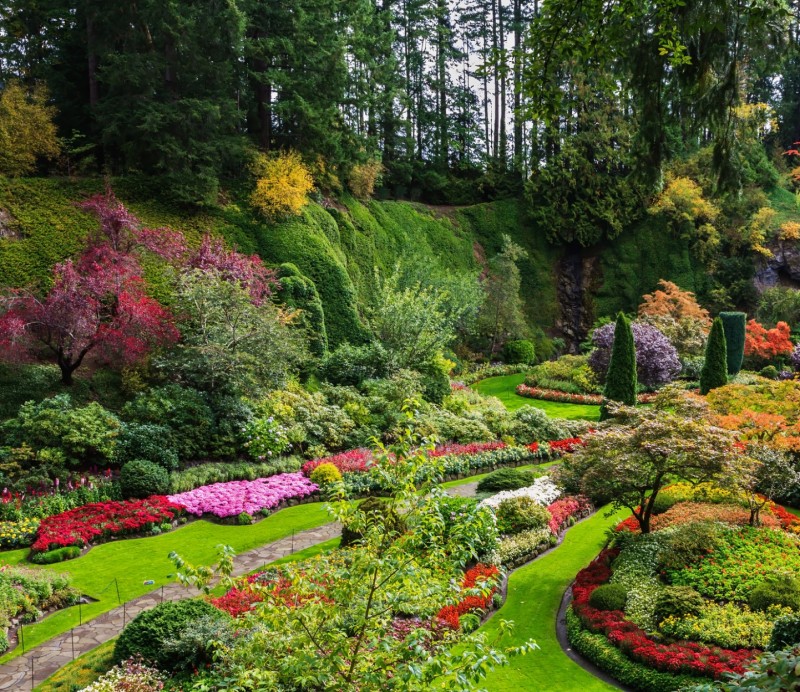 Garden Designers Transform Your Unused Space into a Dream Garden
