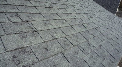 Primary Causes of Roof Damage