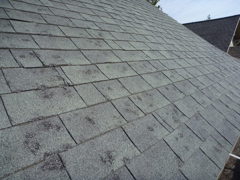 Primary Causes of Roof Damage