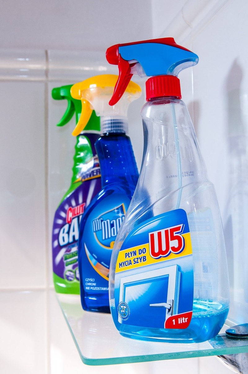 The Perks of Using Organic Cleaning Products