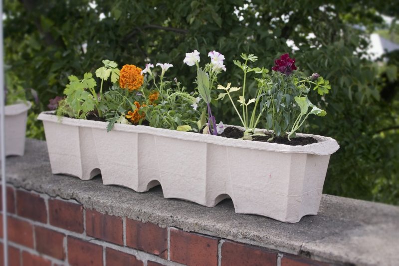 4 Ingenious Tips for Urban Gardener