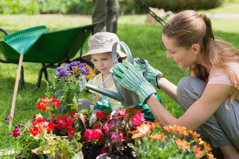 The Key Gardening Tools for Every Occasion