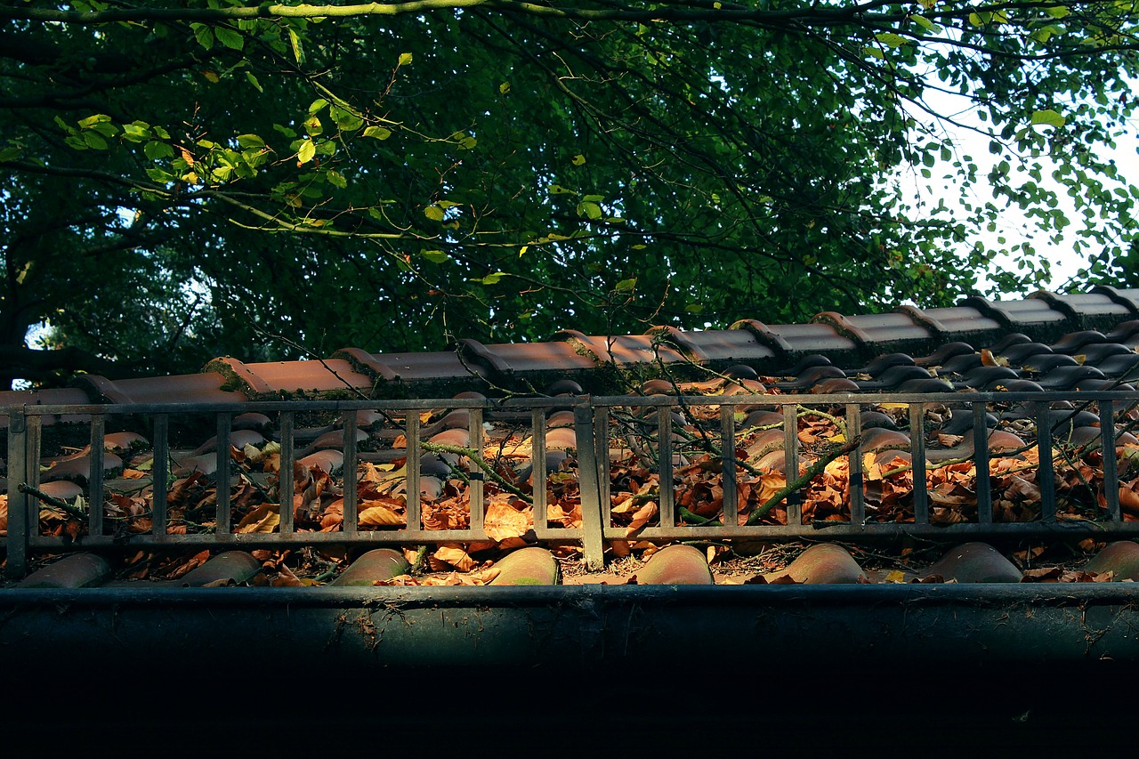 Roof fall. Крыша из листьев. Лист для крыши. Деревья на крыше Фрай. Flowers on the Roof.