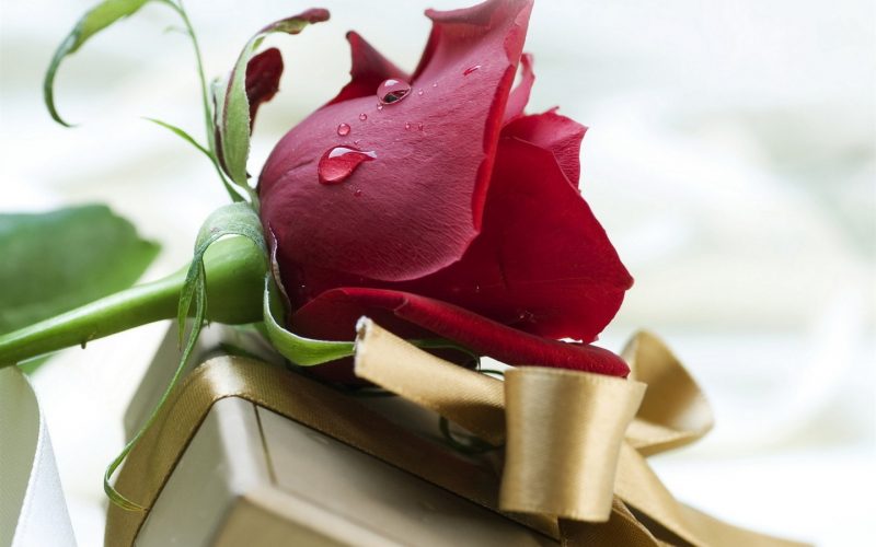Flower Meanings Can Help You Choose a Perfect Valentine's Bouquet