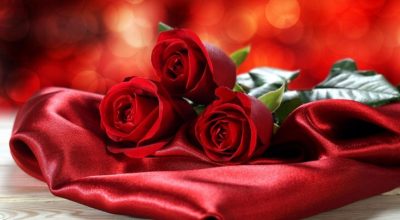 5 Facts about Valentines Day Flowers That Will Blow Your Mind