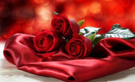 5 Facts about Valentines Day Flowers That Will Blow Your Mind