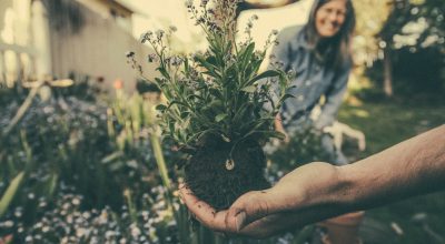 The 5 Habits of Successful Gardeners
