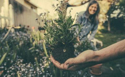 The 5 Habits of Successful Gardeners