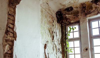 The Dangers of Mold and Why it Needs to be Removed