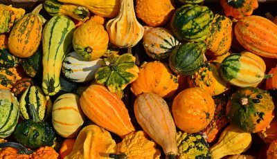 4 Foods to Include in Your Diet as You’re Transitioning to Autumn