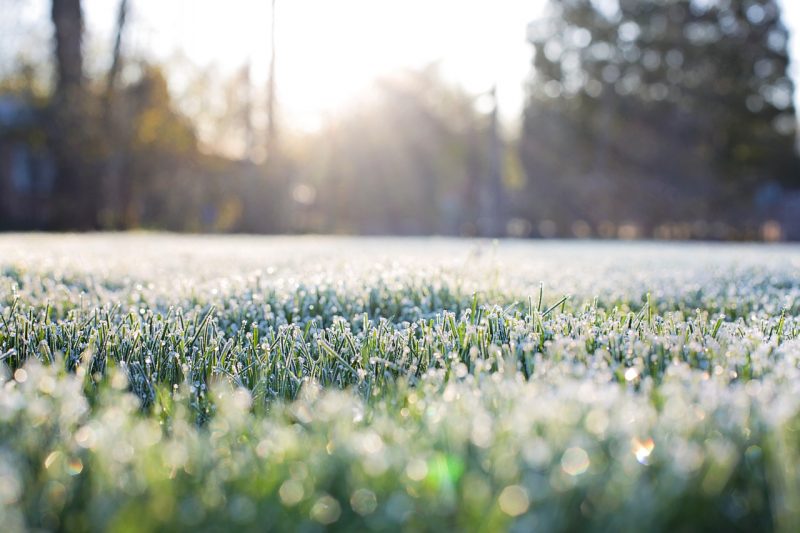 Can You Help Your Lawn Through the Winter?