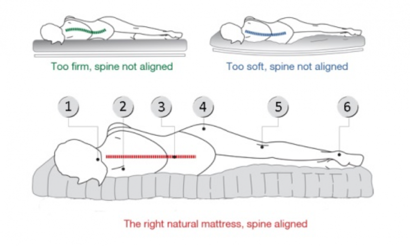 Best Buying Guide for Choosing a Mattress for Back Pain