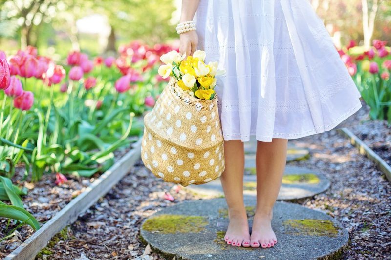 5 Ways to Instantly Beautify Your Garden without Breaking the Bank