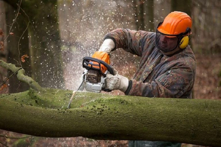 Types of Chainsaws for Sale for Garden BeautyHarmonyLife