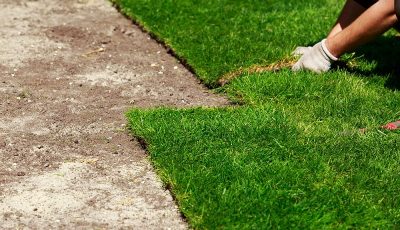 Know the Advantages of Having A Garden Turf and How to Maintain It