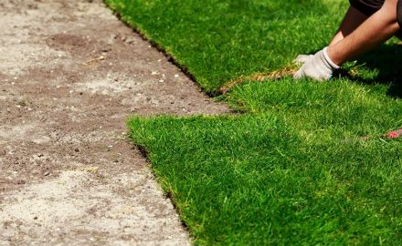 Know the Advantages of Having A Garden Turf and How to Maintain It