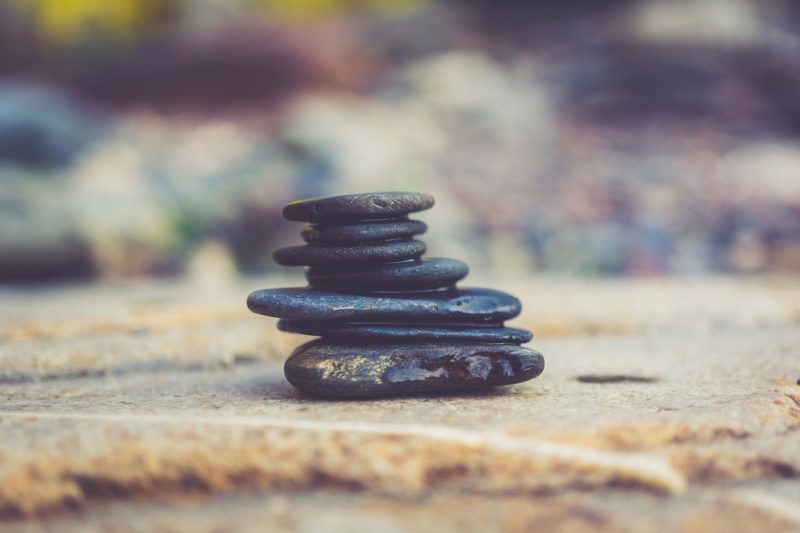 Gardening and Meditation: Finding Zen in Your Backyard