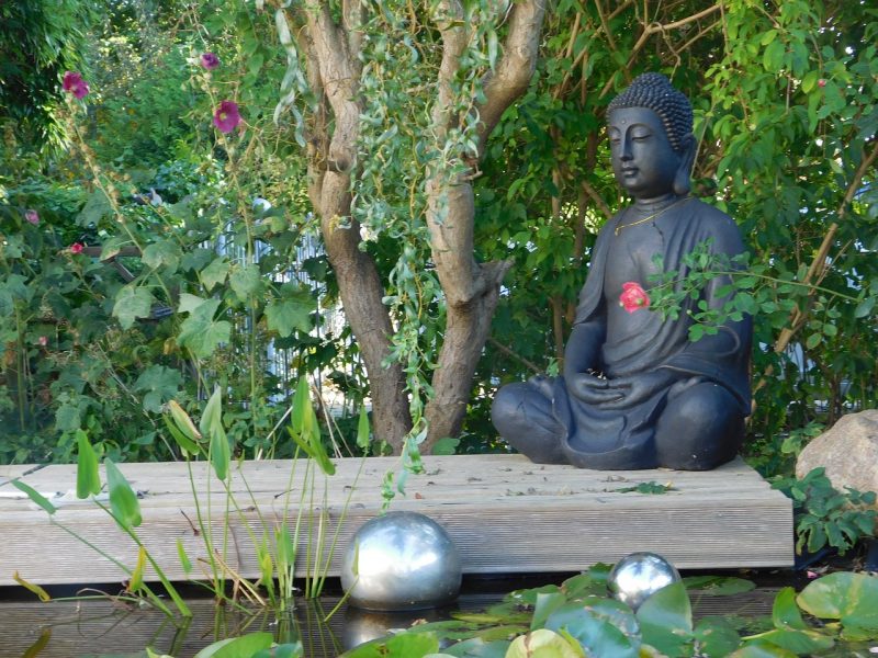 Gardening and Meditation: Finding Zen in Your Backyard