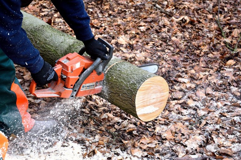 Things To Consider Before Buying a Cheap Chainsaw
