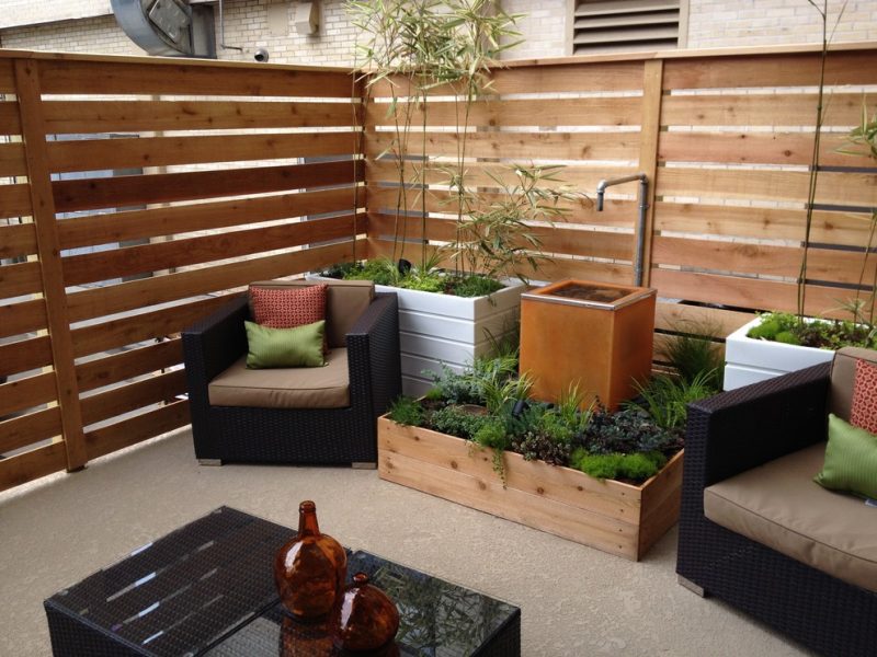 How to Get More from Your Small Backyard? - BeautyHarmonyLife