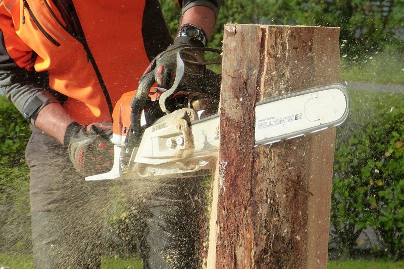 Types of  Chainsaws for Sale for Garden