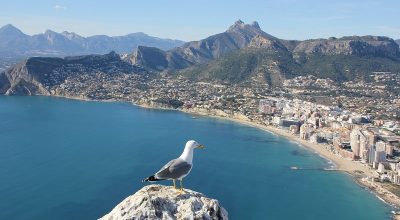 Alicante – Fiesta And Siesta