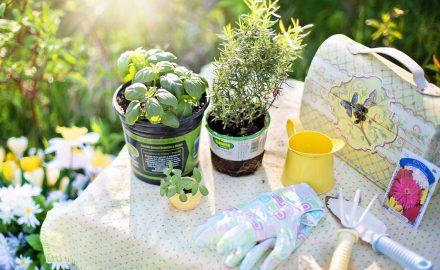 4 Tricks to Save Time & Money on Your Garden Without Hindering Quality