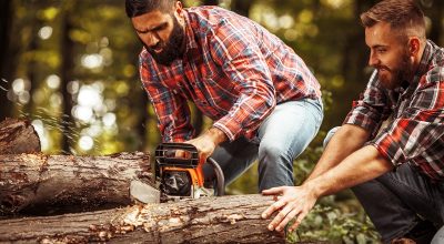Reasons To opt For Tree Removal Services