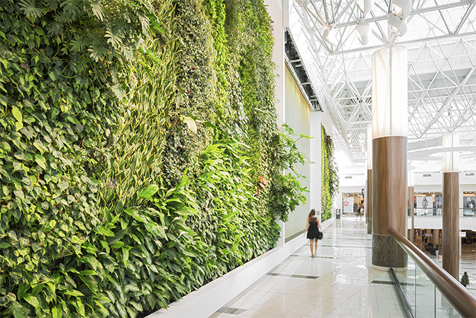 When Winter Is on Its Way: Can Living Walls Survive in Colder Temperatures?