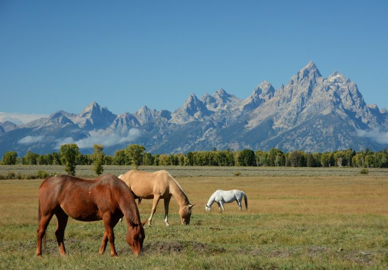 Discovering Wyoming's Grand Teton: 9 Facts to Know for First-Time Hikers