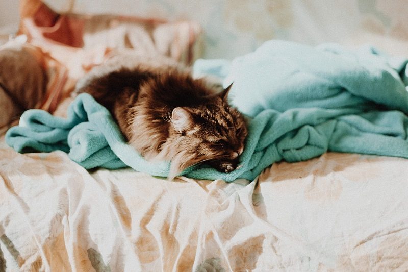 How to Care for Your Bedsheets: A Beginner’s Guide