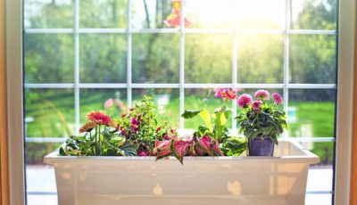 Why Not Enjoy The Benefits of Replacing Windows Each Season?